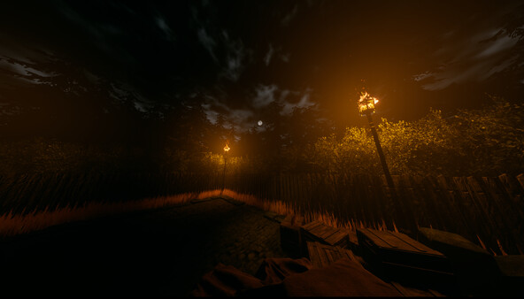 Screenshot 46