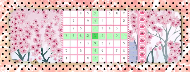 Mega Sudoku - Binary & Suguru video 4