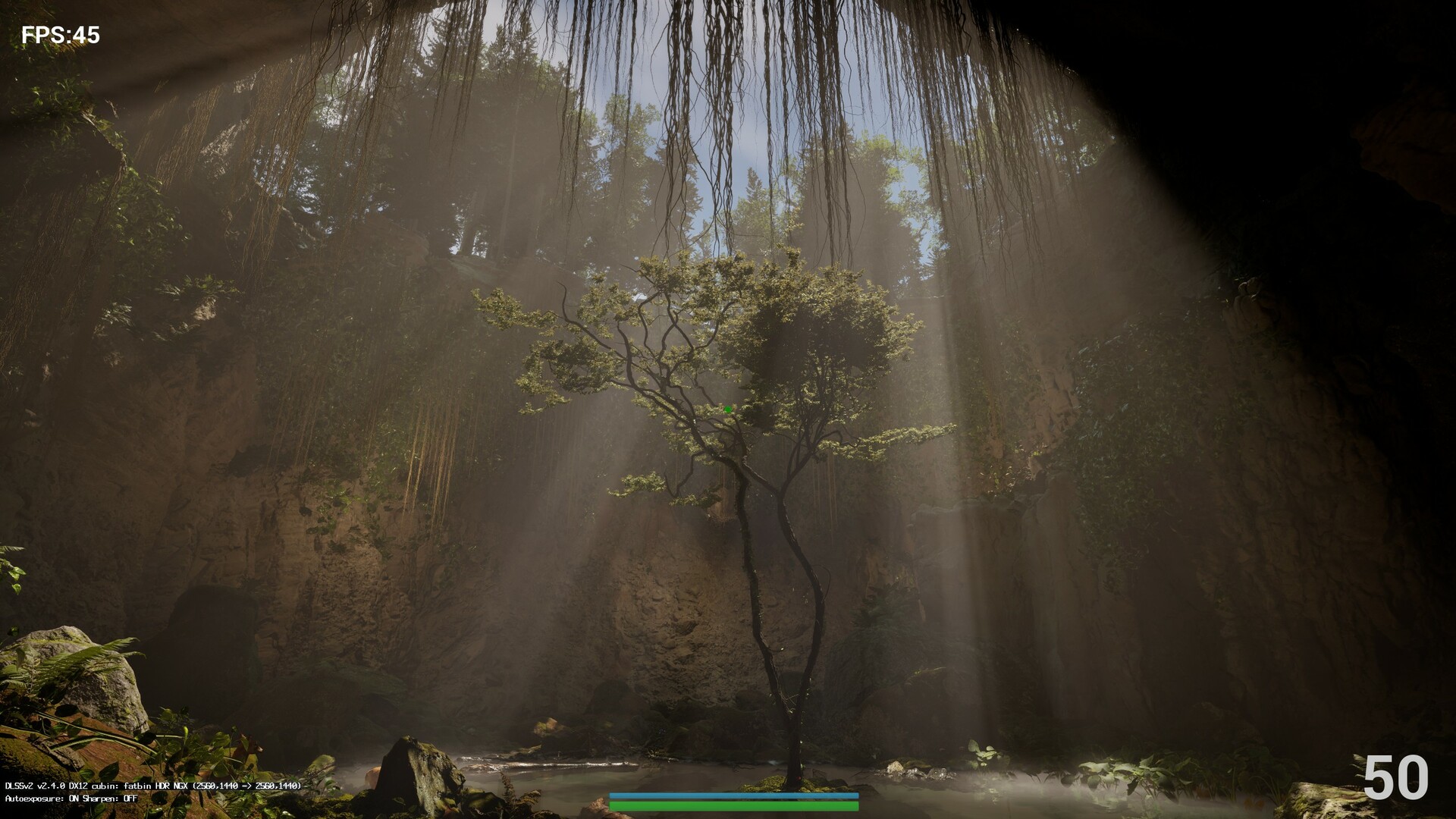CallOfTree Featured Screenshot #1