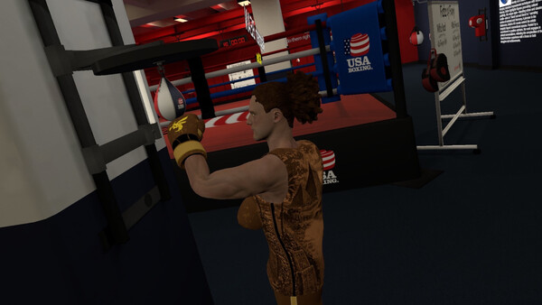 Golden Gloves VR 스크린샷 4