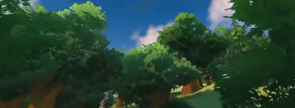 Loya video 3