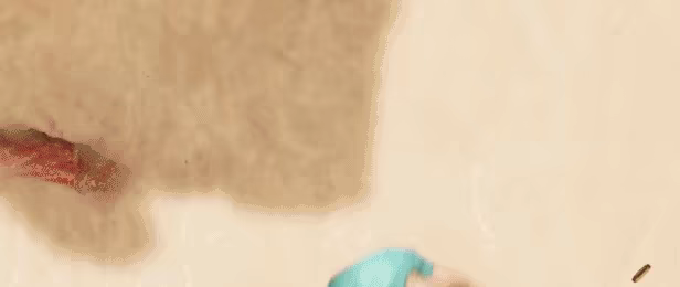 Dirty Dirty Pirates video 3