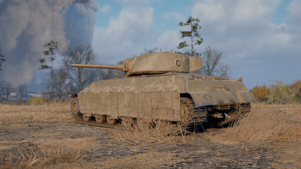 World of Tanks — Robust Fighter Pack