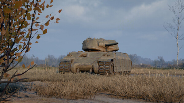 World of Tanks — Robust Fighter Pack