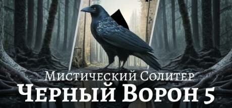 Купить Mystery Solitaire. The Black Raven 5