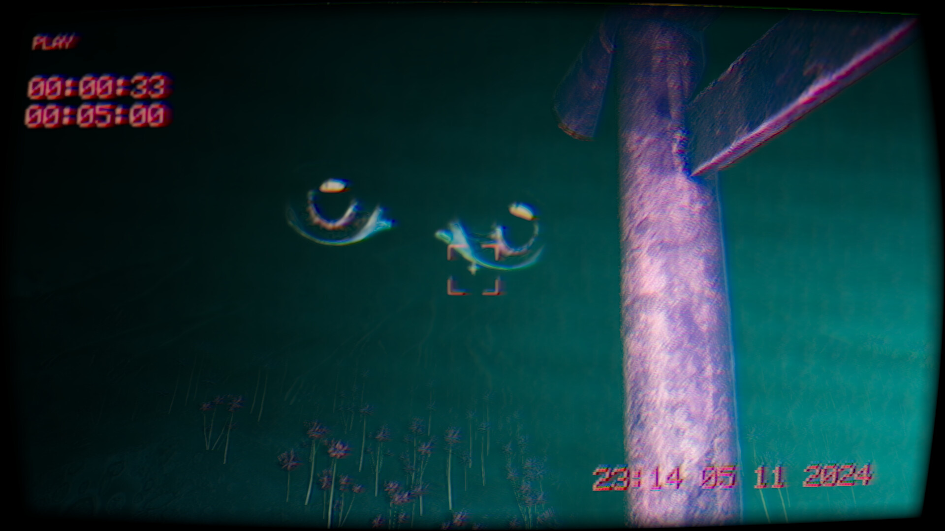 In the footage