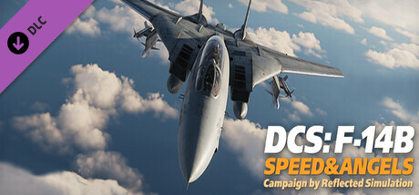 DCS: F-14B Speed and Angels Campaign banner image