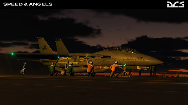 DCS: F-14B Speed and Angels Campaign