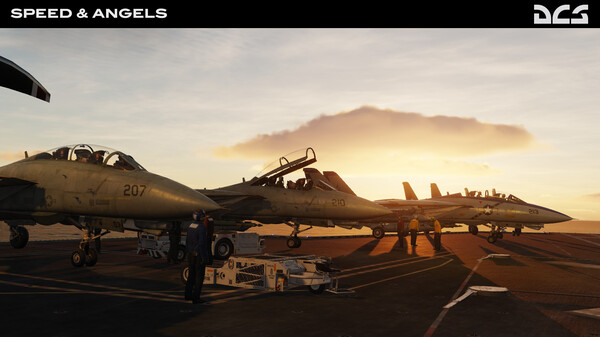 DCS: F-14B Speed and Angels Campaign