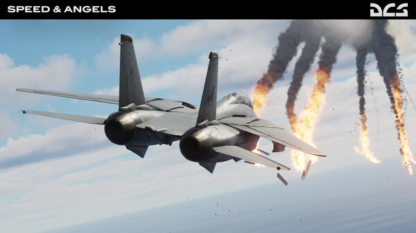 DCS: F-14B Speed and Angels Campaign