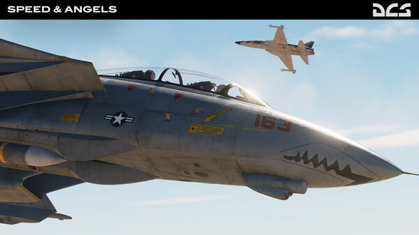 DCS: F-14B Speed and Angels Campaign screenshot 7