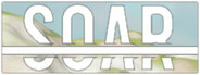 Capsule media