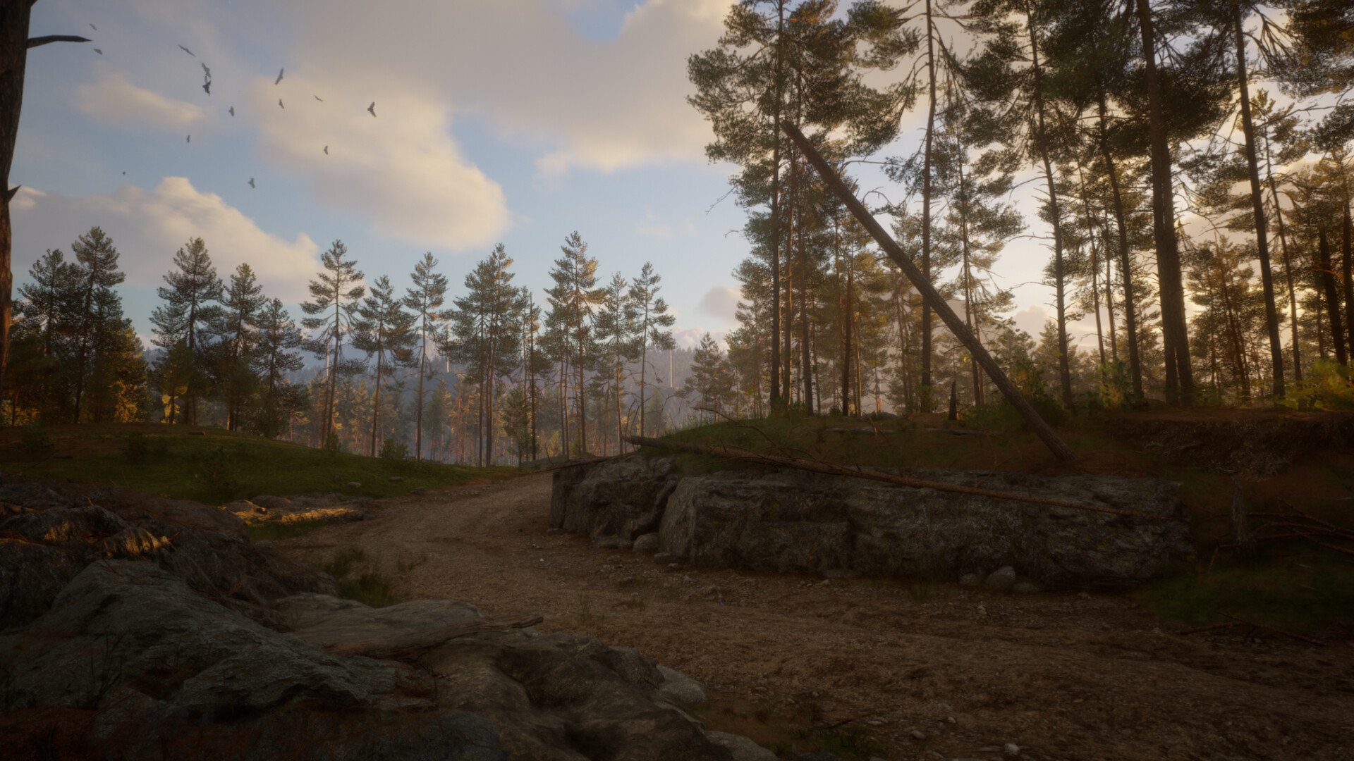 screenshot of Across the Wilds 13