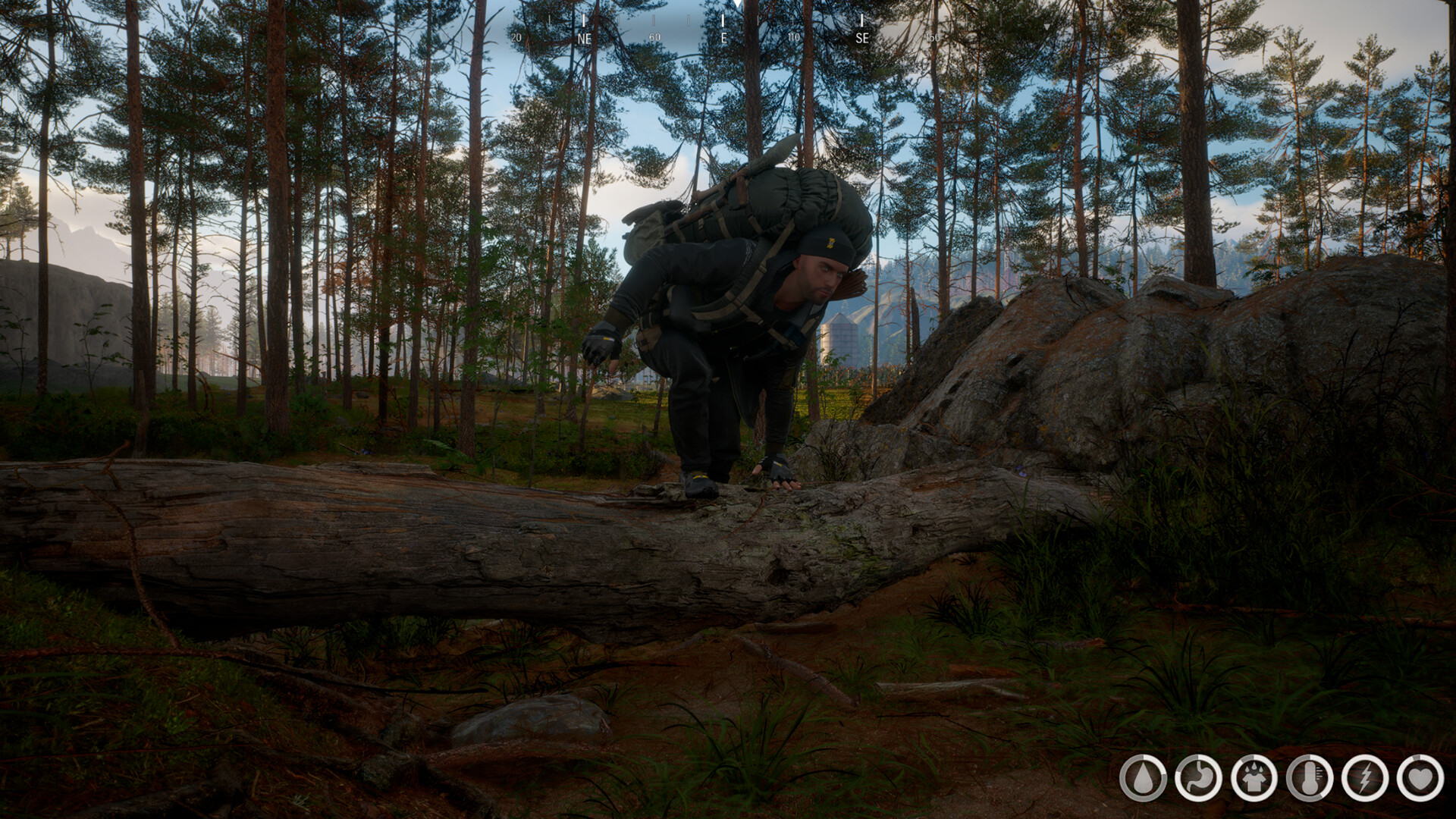 screenshot of Across the Wilds 3