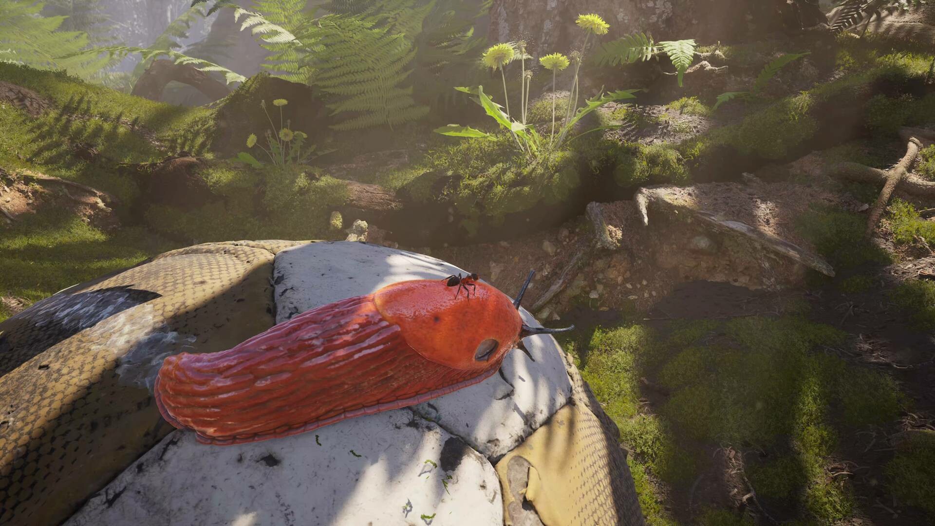 Empire of the Ants screenshot 7