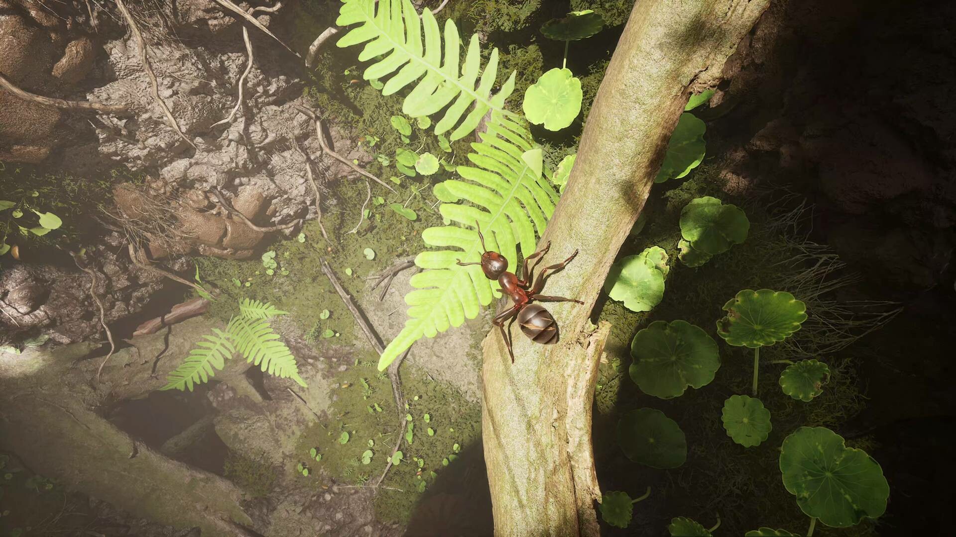 Empire of the Ants screenshot 6