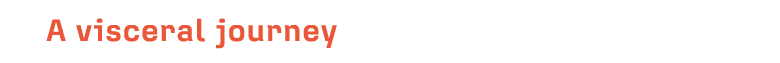 29af2d516c5774ed68b78a26989e8c2e.webp