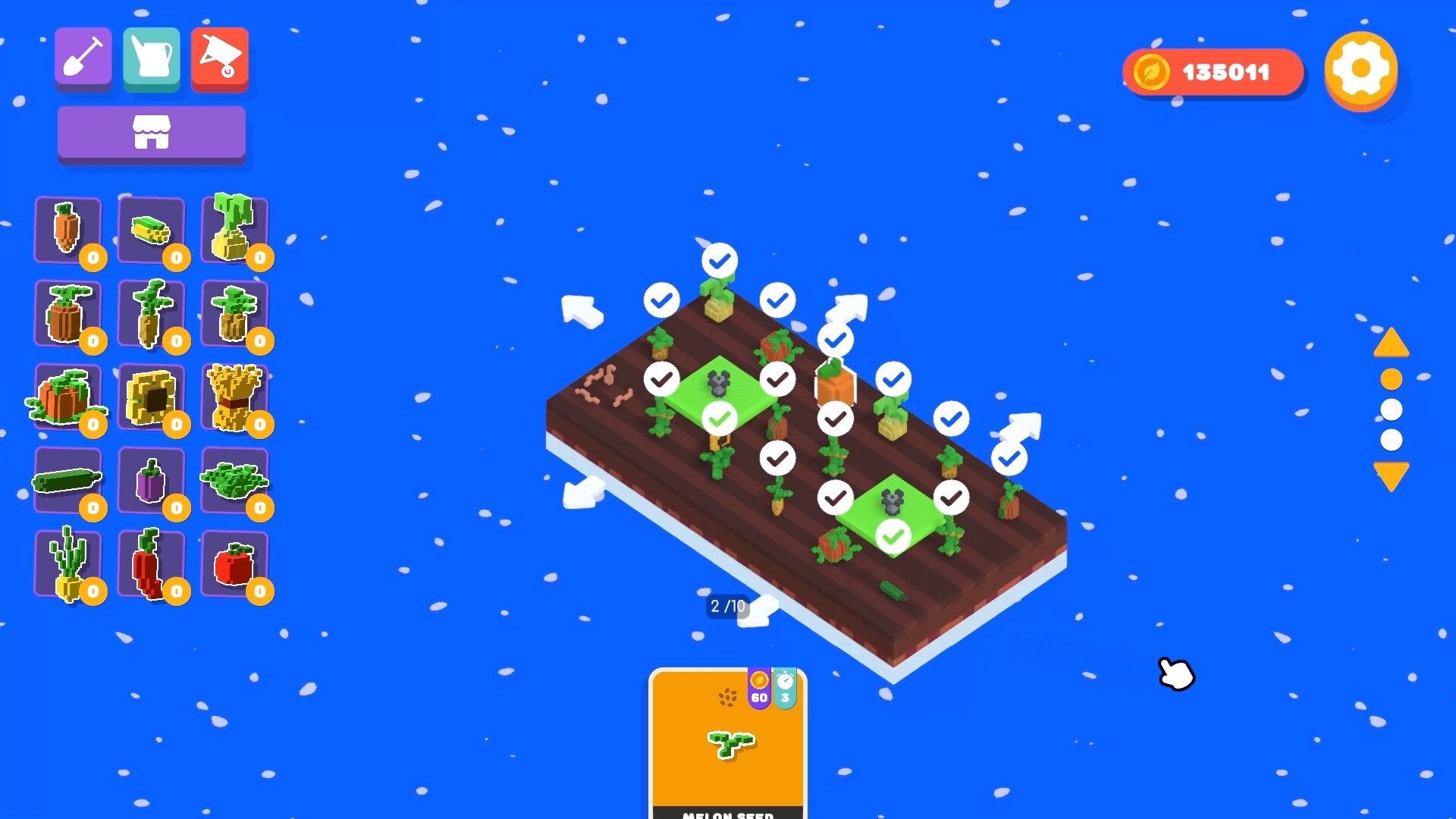 Little Garden