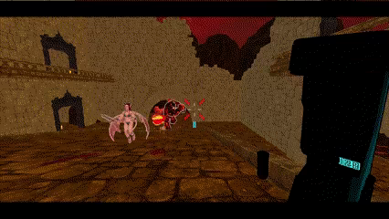 CRUX video 2