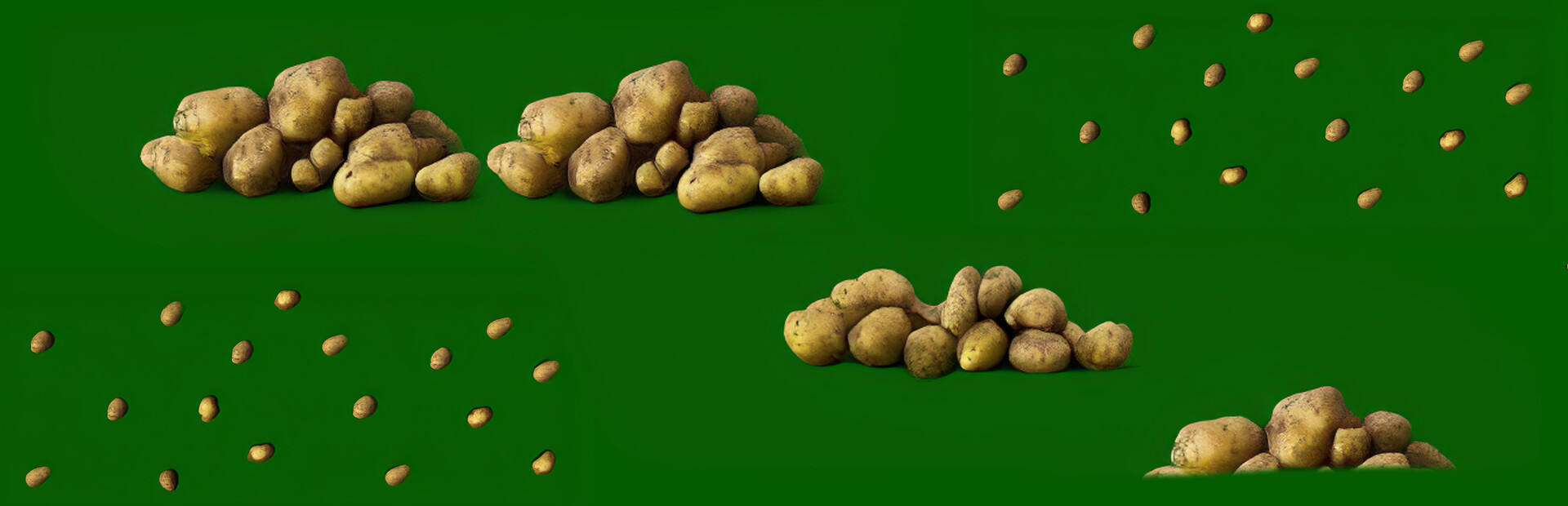 Potato