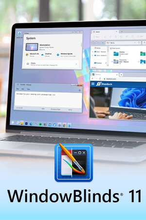 WindowBlinds 11 — catalogue Steam