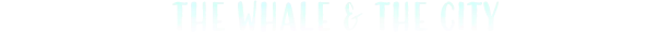 e5253dfbad8c01153a3efdcf511a82c1.webp