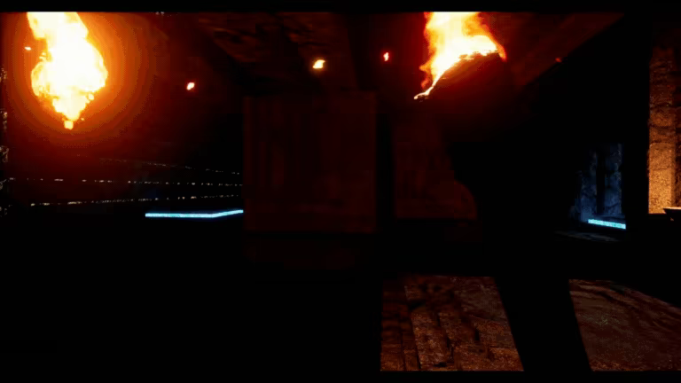 Dragonfall video 6
