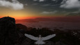 Screenshot #7