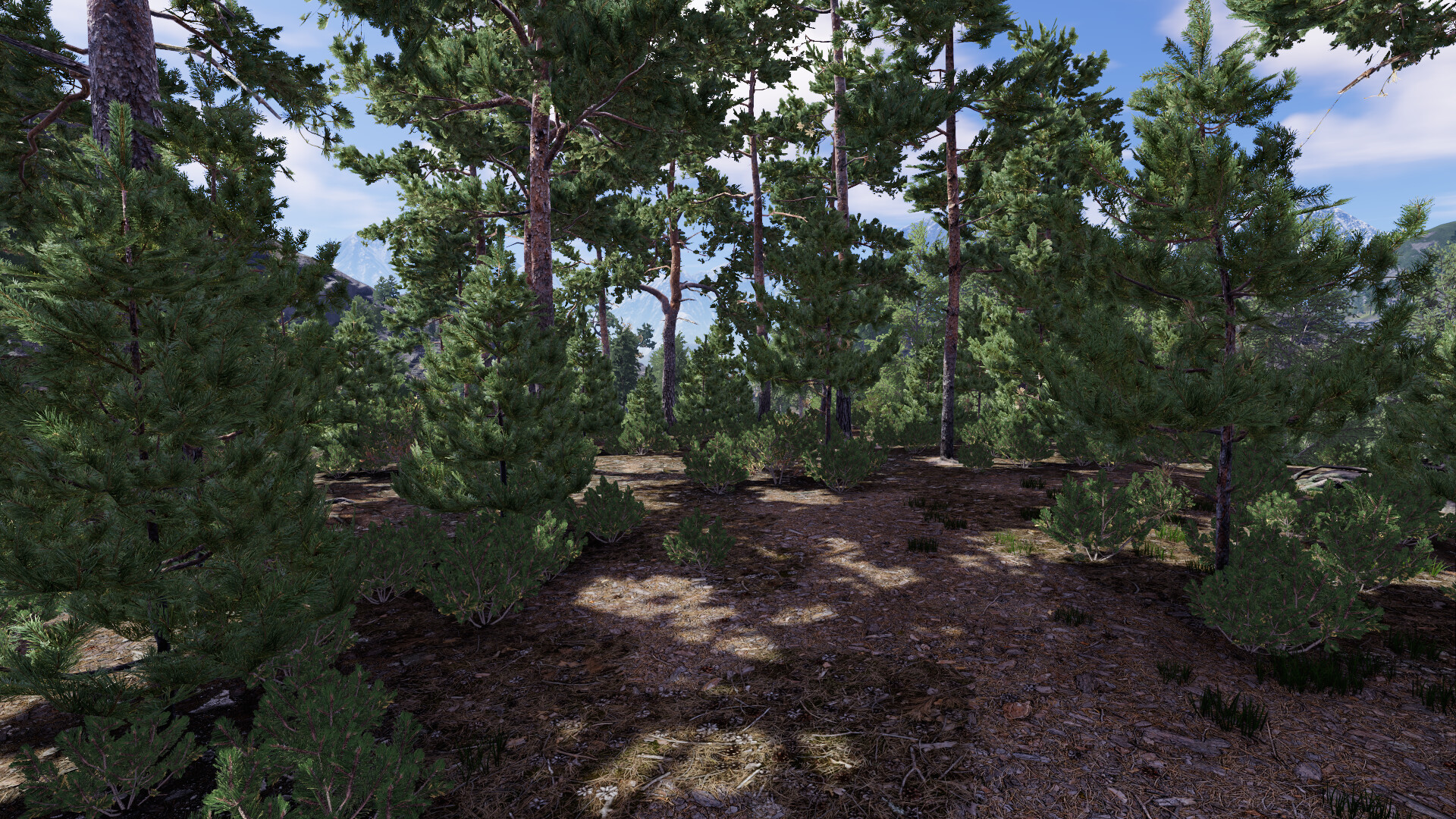 Out of the Ashes screenshot #9