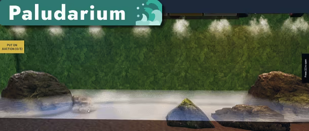 Aquascapers video 9