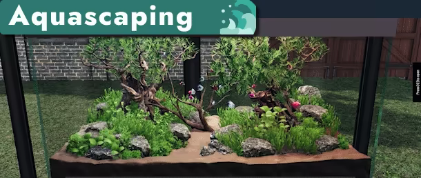 Aquascapers video 3