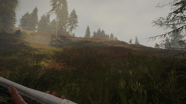 theHunter: Call of the Wild™ - Hunter Power Pack