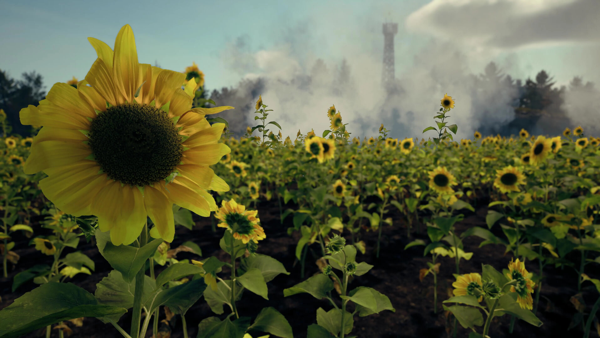 Death From Above: A Ukrainian Drone Warstory screenshot #2