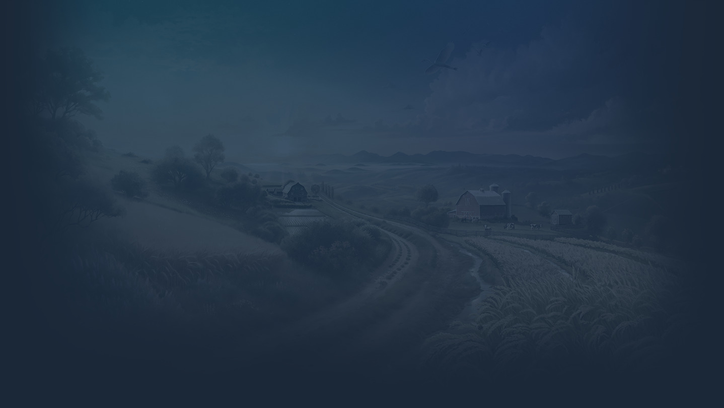 Jeu sur le Store Steam