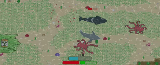 SharkKing video 2
