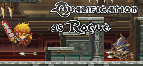 Qualification as Rogue Cover Image