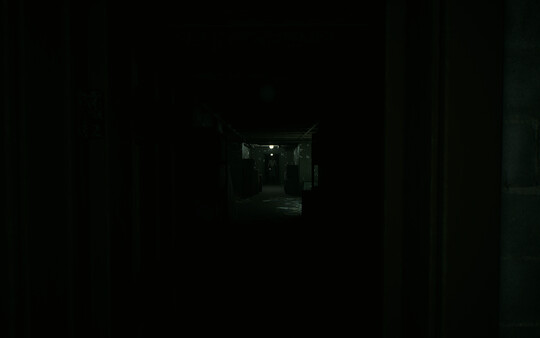 Shadows Of Deceit screenshot 6