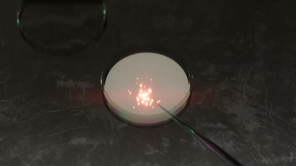 CultureHouse screenshot 7