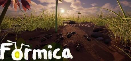 Formica — Steam header