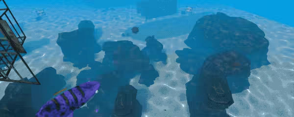 SHARKS video 2