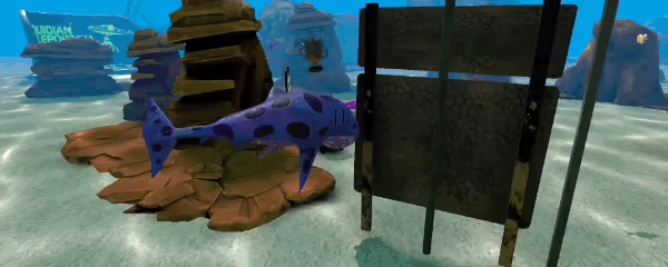 SHARKS video 1