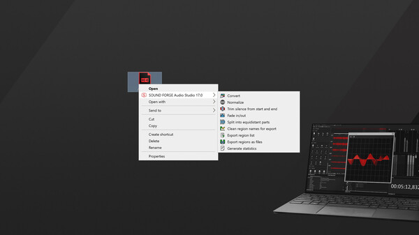 SOUND FORGE Audio Studio 17 Steam Edition screenshot 4