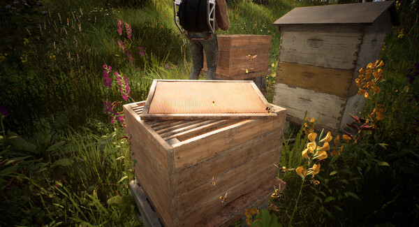 Screenshot 27