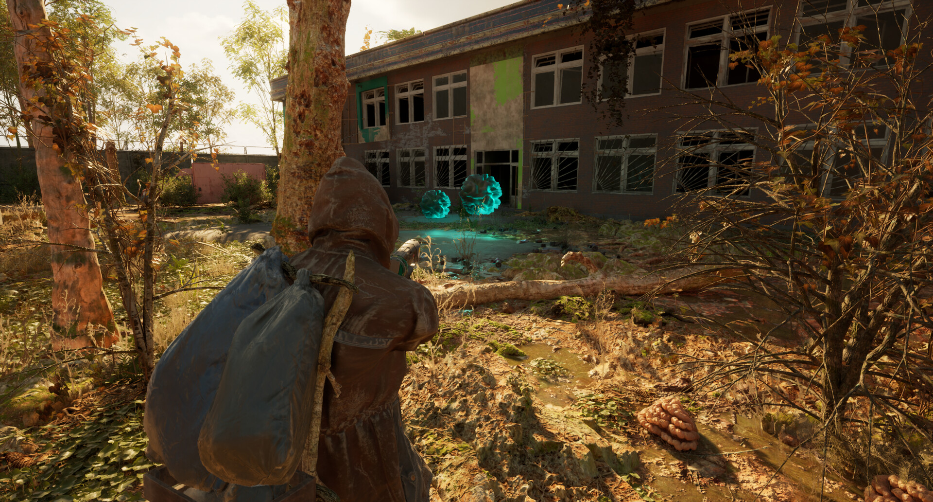 SPRYDITE screenshot #4