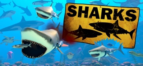 SHARKS Playtest banner