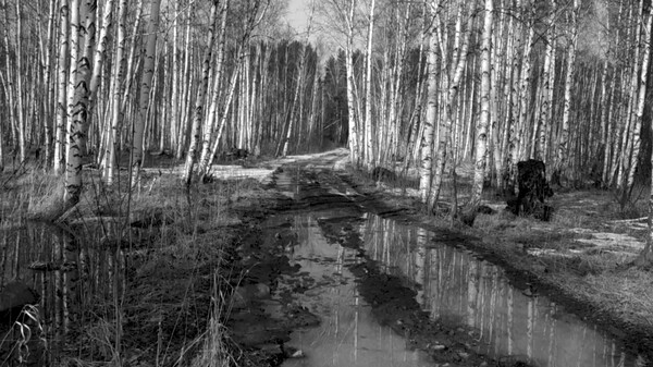 Russian Psychiatric Pastoral: Prologuefor windows and Linux 1