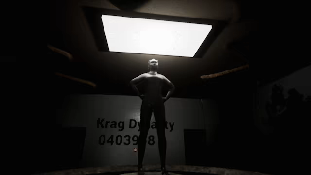 The Voyager video 4