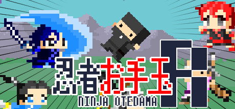 Ninja Otedama R　～忍者お手玉R～ steam charts