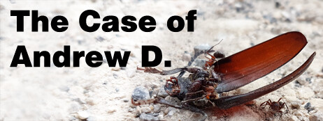 The Case of Andrew D. cover art