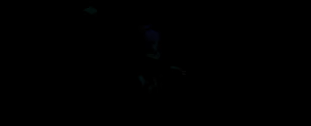 ARC SEED video 2